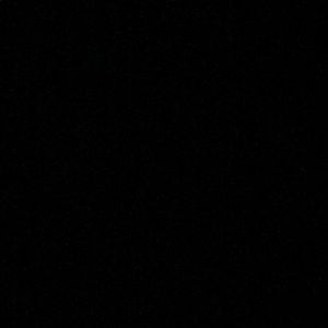 Meet your Posher, Will